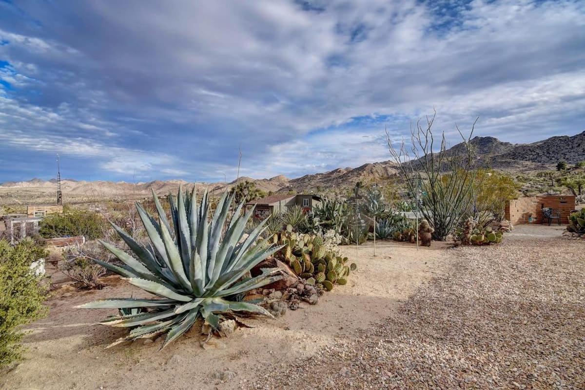 Renovated Lodge - Room 2 With Pool Access Joshua Tree Bagian luar foto